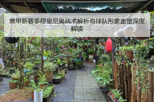 意甲新赛季穆里尼奥战术解析与球队形象重塑深度解读